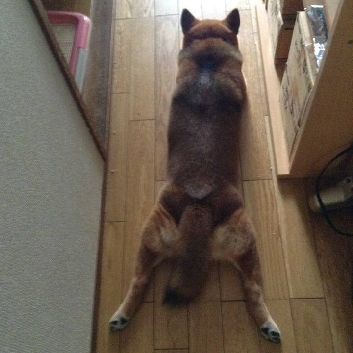 4cecae74 e7f9 4509 90ea b387b12e63ff