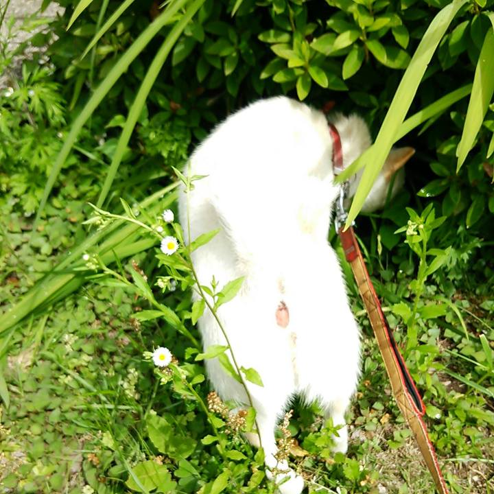 4ced21a9 9fb1 4778 86e7 5c3ce3593fb5