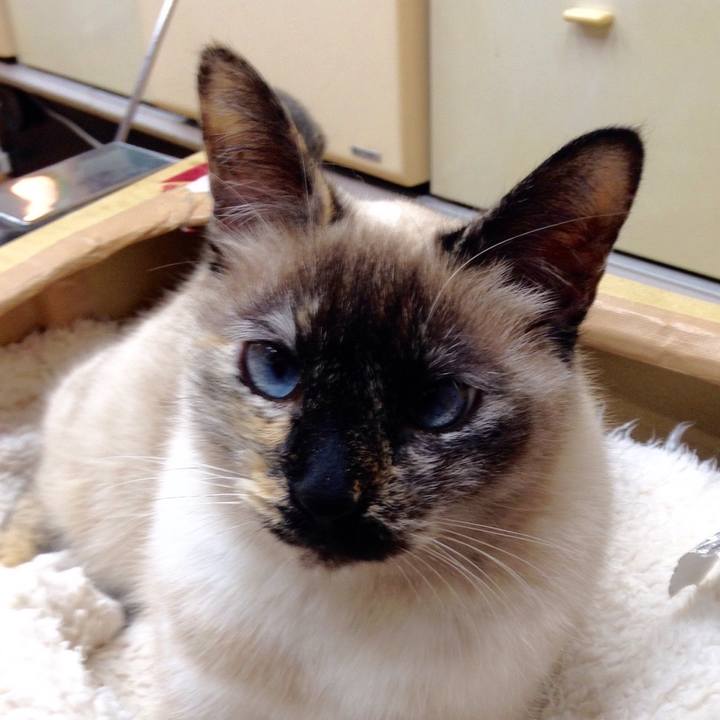 4ced3269 8e0d 47ee 8c7c a0bd9050906c