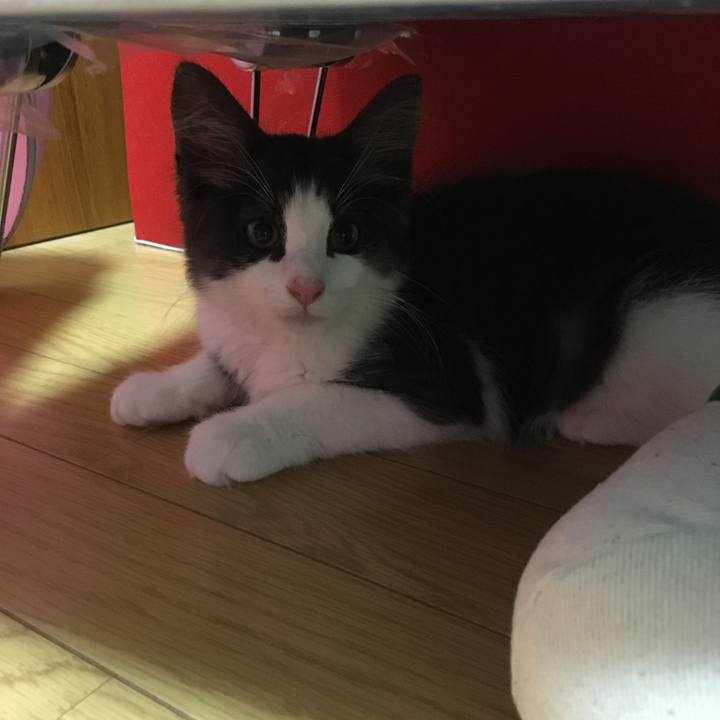 4ced4f68 1393 4002 a9b2 55a5d62852c5