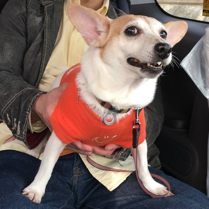 4cee2583 cd98 4be5 9709 d8454d1d3f60