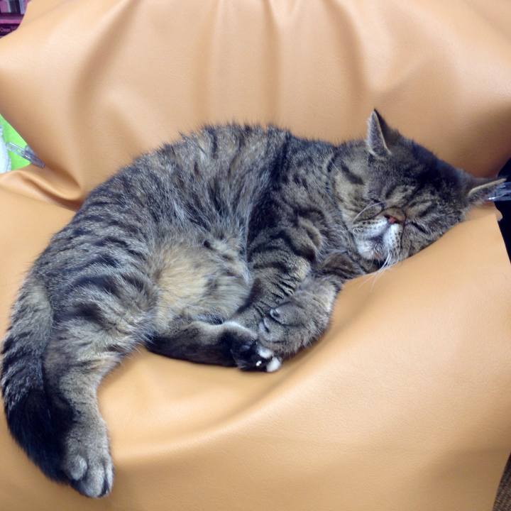 4ceea451 7852 4b91 9d5b c9c2526c4dcc