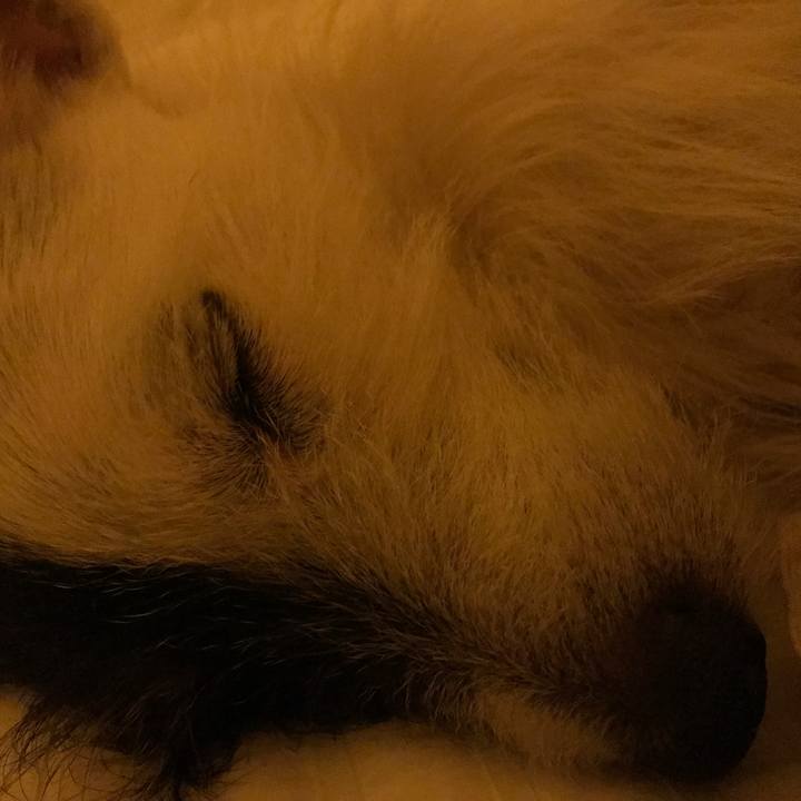 4ceef424 1644 4c3e 93c9 14474a10afa5