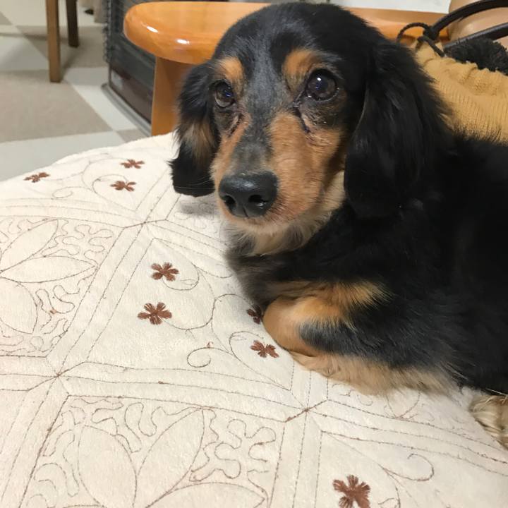 4cef4eb6 576b 4775 b223 77b1abe305dd