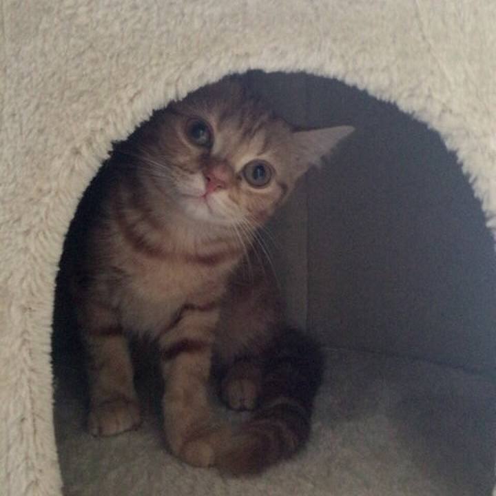 4cef7b27 2c7e 44f2 844f 0f92547506c0