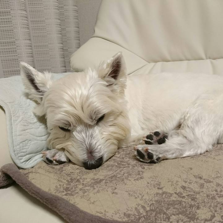 4cef8d00 4f2c 4615 96fc ac38abd94e47