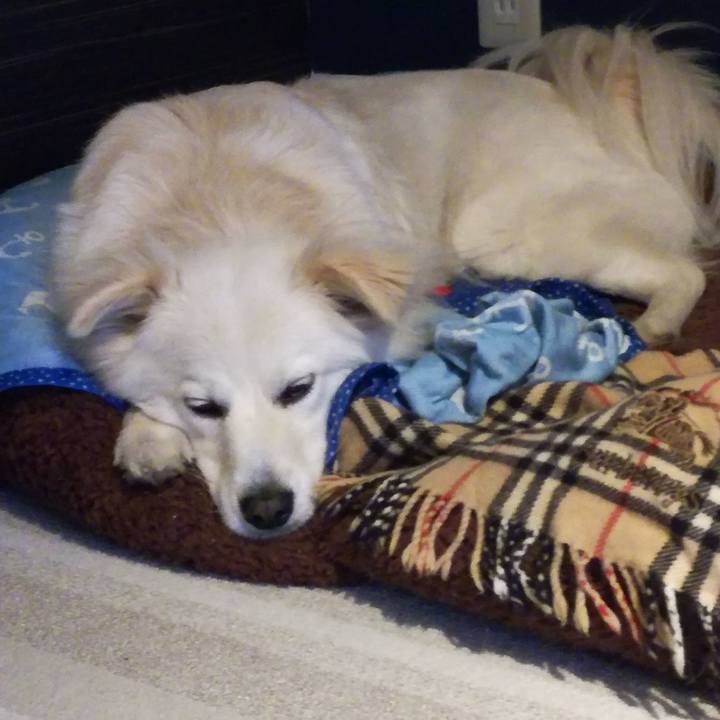 4cef9aa6 2a33 4ad6 933b 315bf12ea8fc