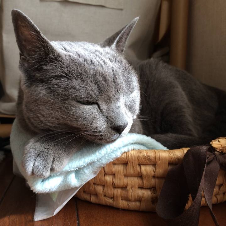 4cefa962 b956 44fd 8062 230663059025