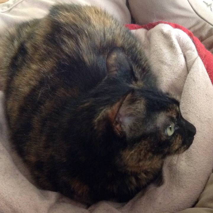 4cf05b94 2f4a 4573 91fe cb0a87c4f550