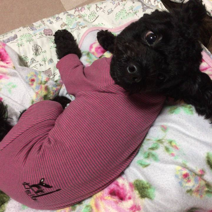 4cf074c2 311a 4c67 a10e ecbcc43506bd