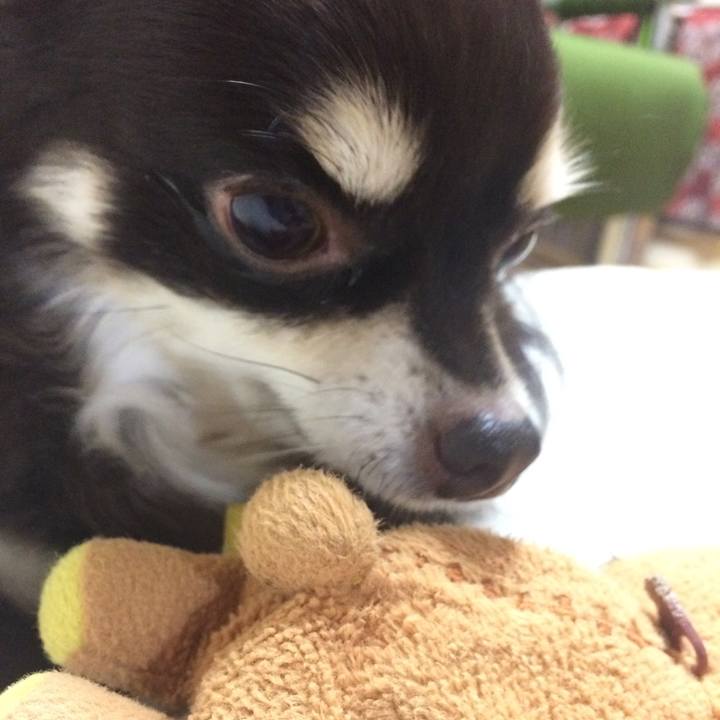 4cf13781 4376 4963 9e51 f4d0cc9beed1