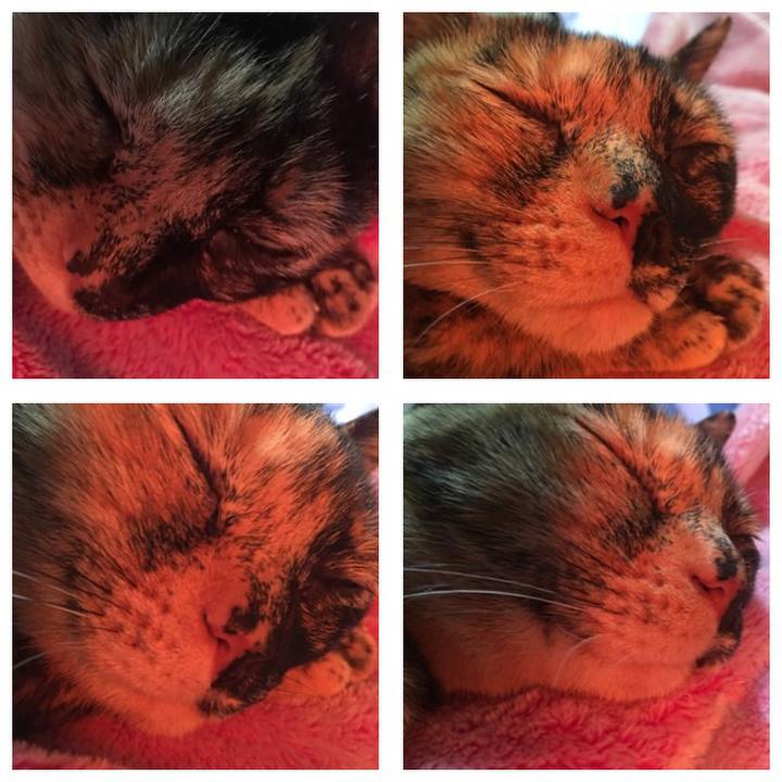 4cf19a6e e7df 4bb5 a32a 6f5f5cdd579f