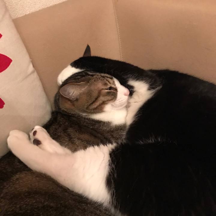 4cf2573b ce47 4a8d 9399 22cbccd04cc4