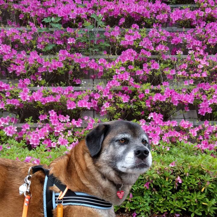 4cf2b9c2 237a 459d 94dd 063647d562b3