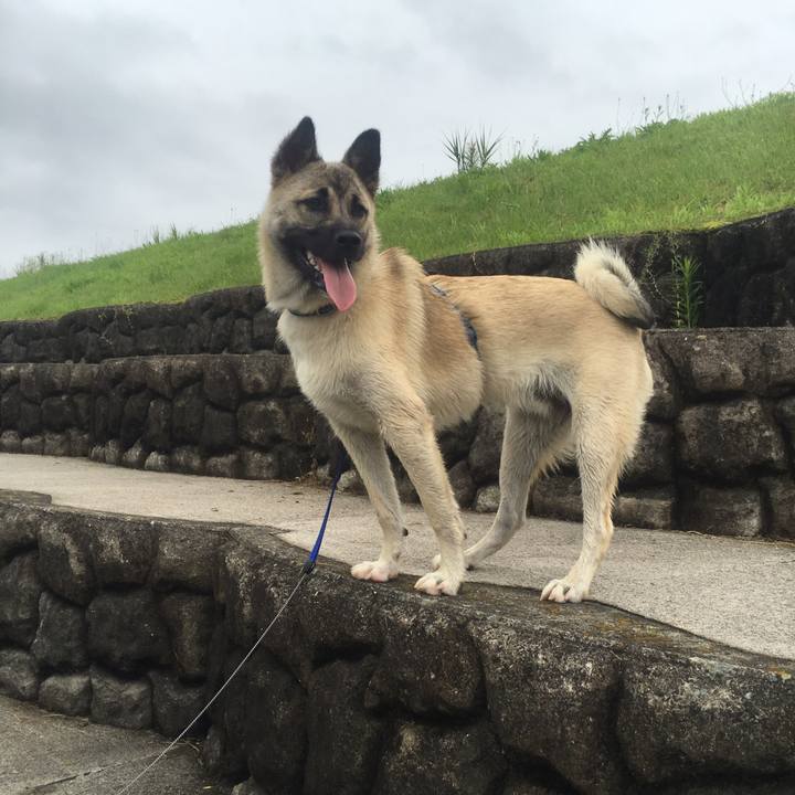 4cf30b7f aa03 41e2 a68e 028bad496f6e