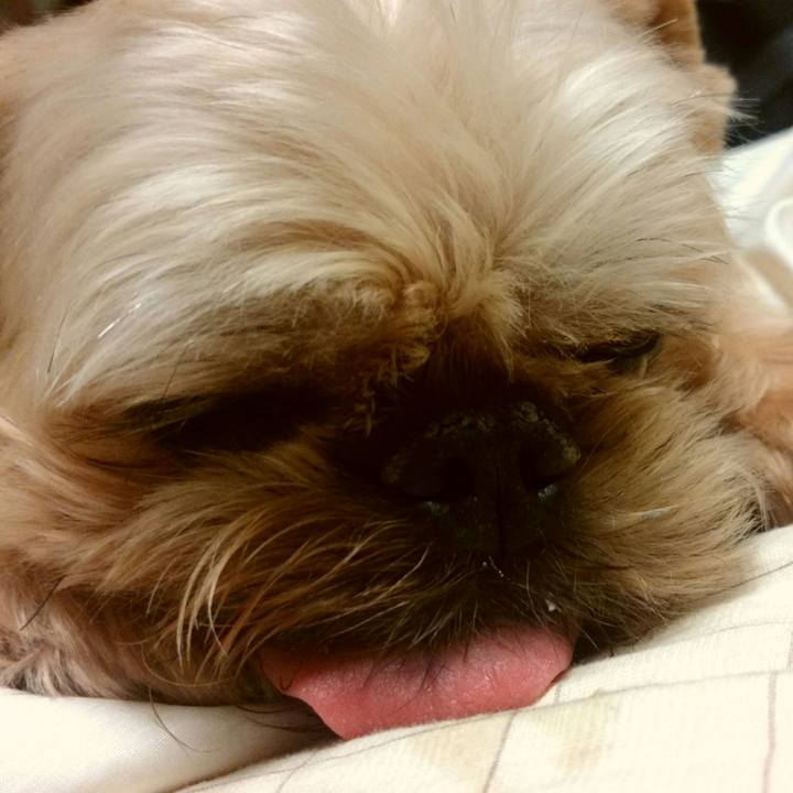 4cf3180b 7f92 42ea 91ac fb626ab9f498