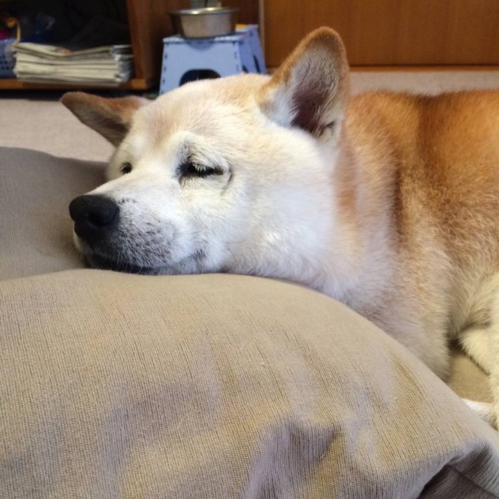 4cf386a6 cf8b 4d86 bfac f649e9f0b7a3