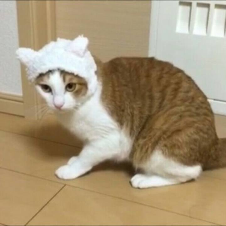 4cf4e998 f540 4b9e be24 abd34a1626ea