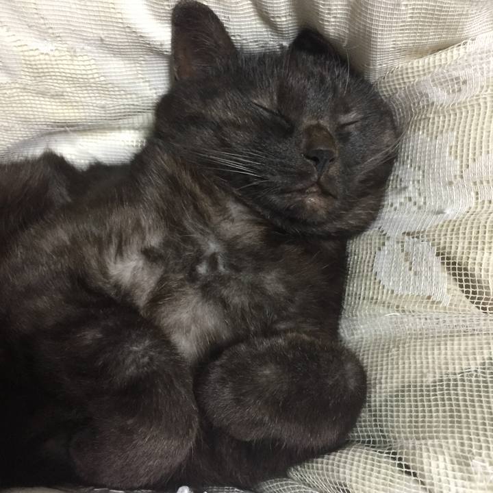 4cf55fcd 61c7 4808 99aa 43e42aac870f