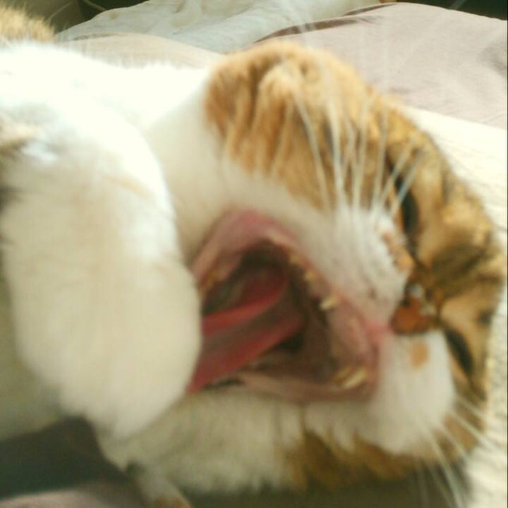 4cf5ab92 ef44 4ff5 b2d0 6ec0495665e2