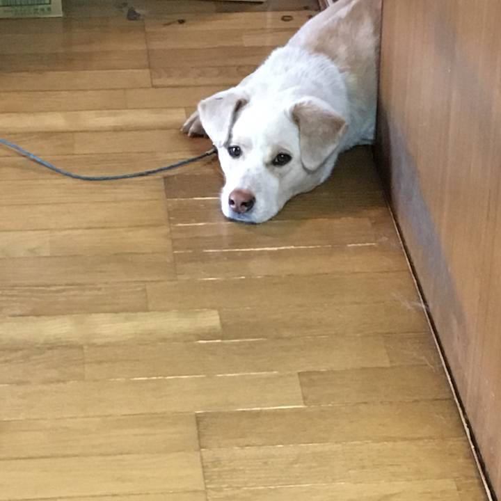 4cf6d33c 0b5d 472a 83cf 2f77177504ed