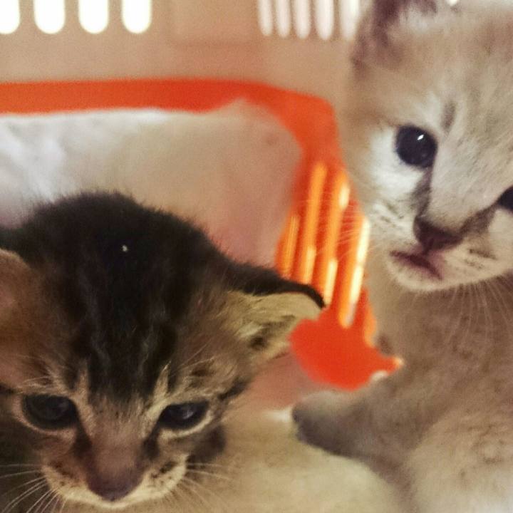 4cf72dcd b915 402d ae16 b52ac21177f6