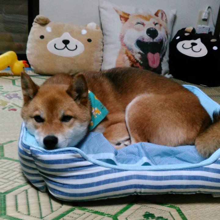 4cf770ab b2b8 4d20 ab9f b5eb604c5b8b