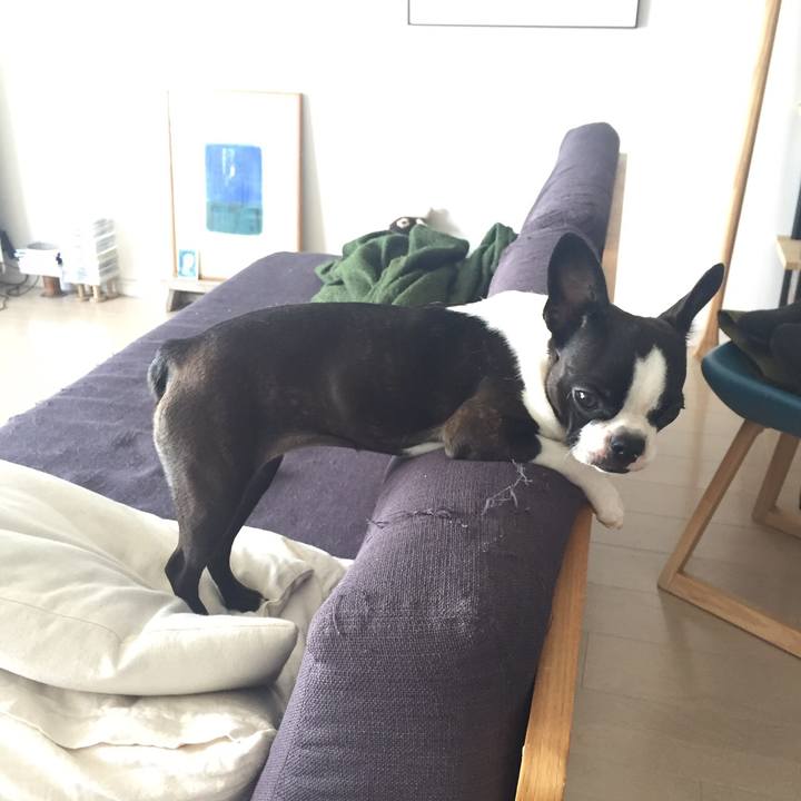 4cf7c888 f697 4168 af46 8c1b5e0771c9