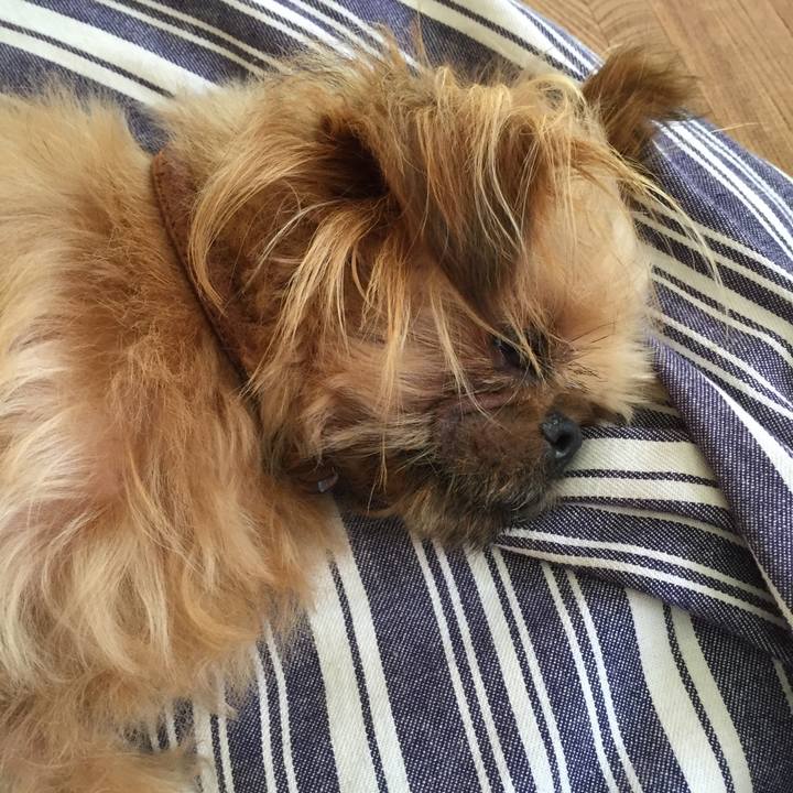 4cf8844e 0d9b 448a b1f5 c0e9a4734b2b