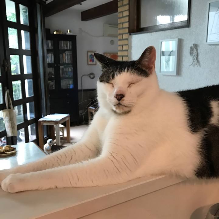 4cf89e84 c6ac 4259 9e7c a569ef0b16d6