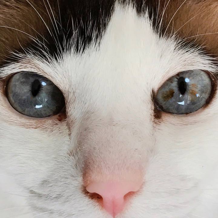 4cf8d7d3 c4a5 450c 9577 2c9b2d6e3eee