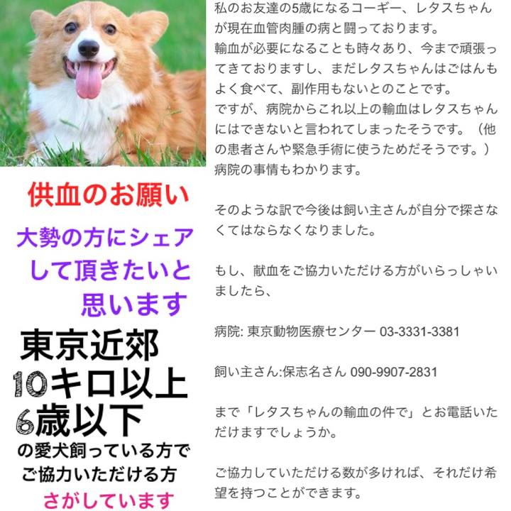 4cf959f0 8754 4989 8318 ddd8e87c8cfc