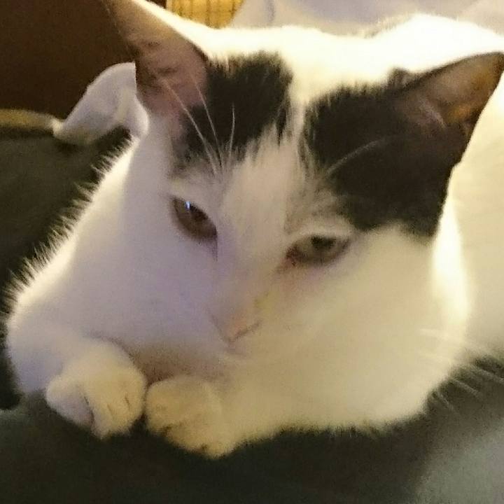 4cf9bcf6 67d7 41a5 b626 fbb73edbf2e5