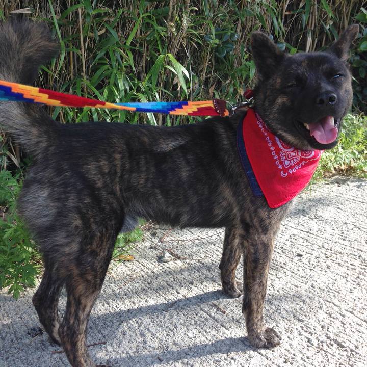 4cfa763b f0b2 4cb3 be91 c517d6f654ec