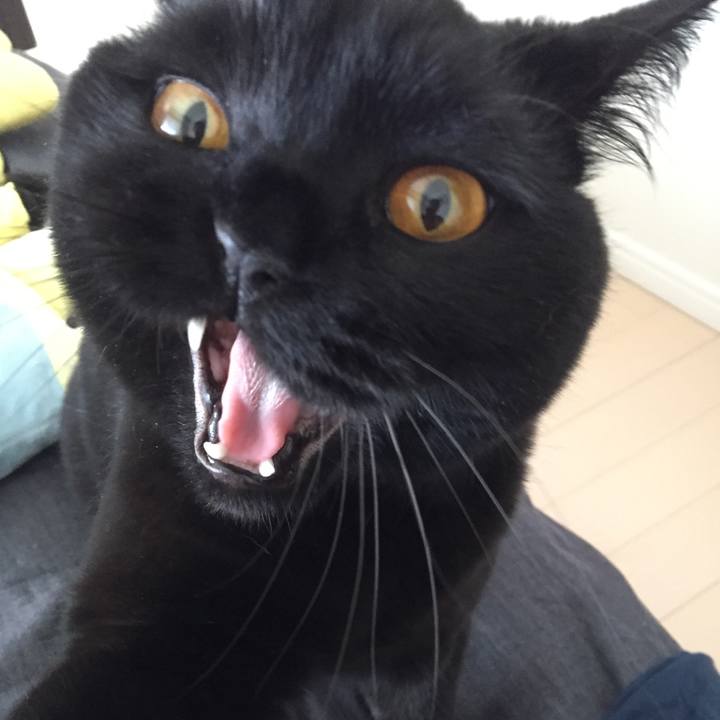 4cfaeb9e 5046 4df2 8058 91f373d78074