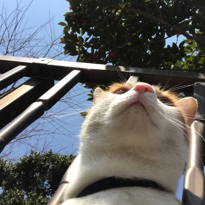 4cfb04c3 9808 4baa b5d2 6a6a96271fda