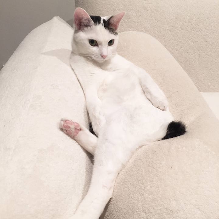 4cfb29cb d279 409a 9194 387bc6158a5a