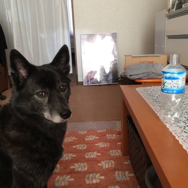 4cfb5672 9d1c 4889 a471 e04441654543