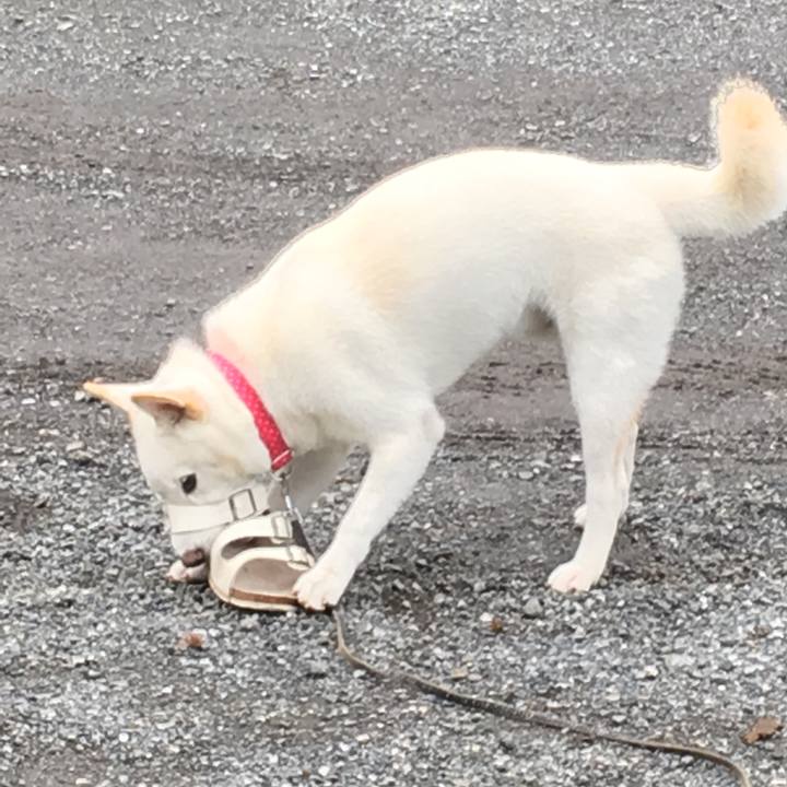 4cfc999f 1d01 435b 87fb f9c5dc5561b9