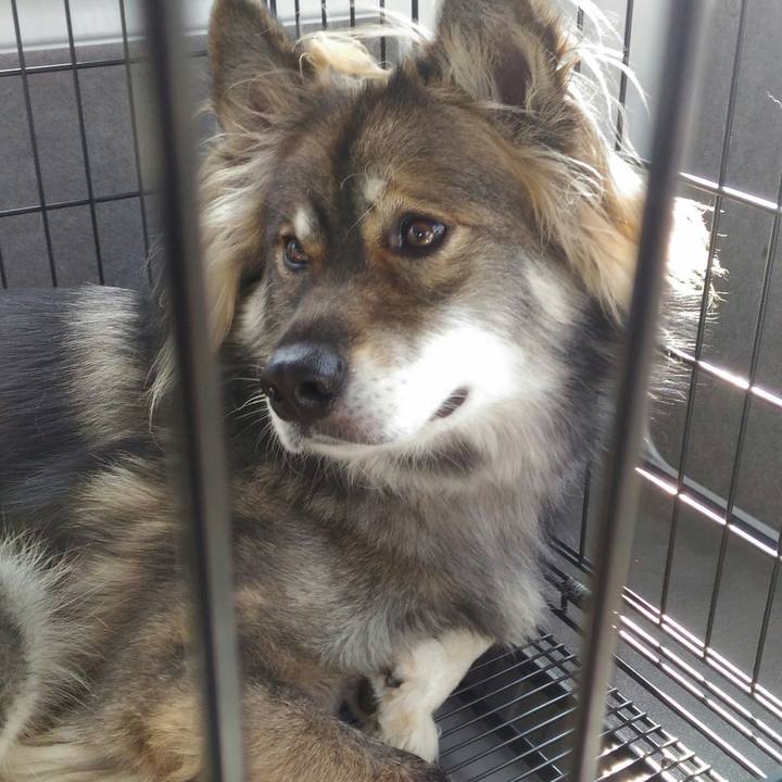 4cfd2749 401a 4c4e ab54 be935521f5b0