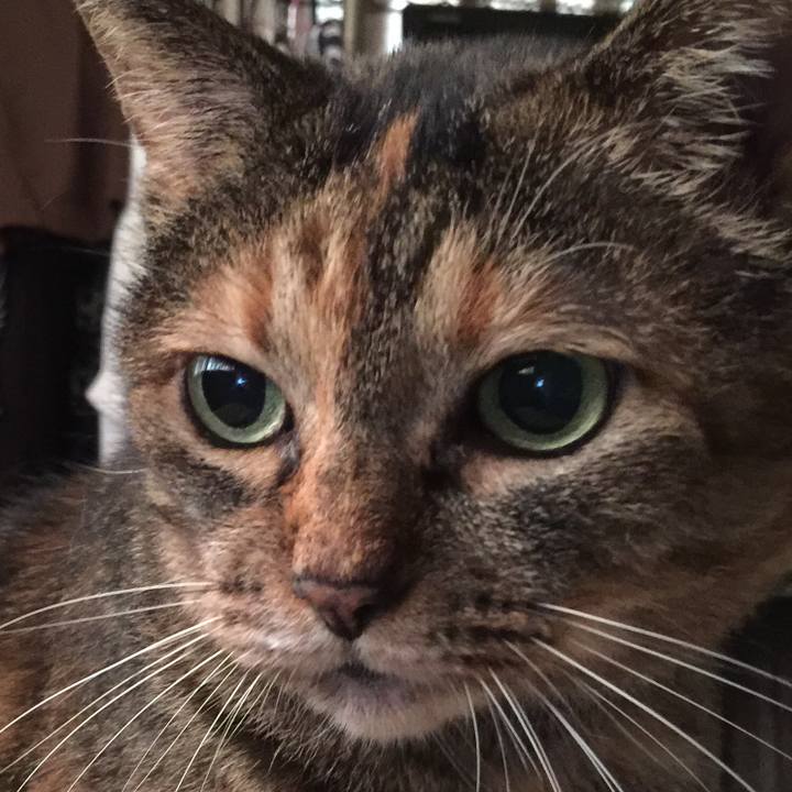 4cfd530b d56c 4816 b3fb 164d18466422