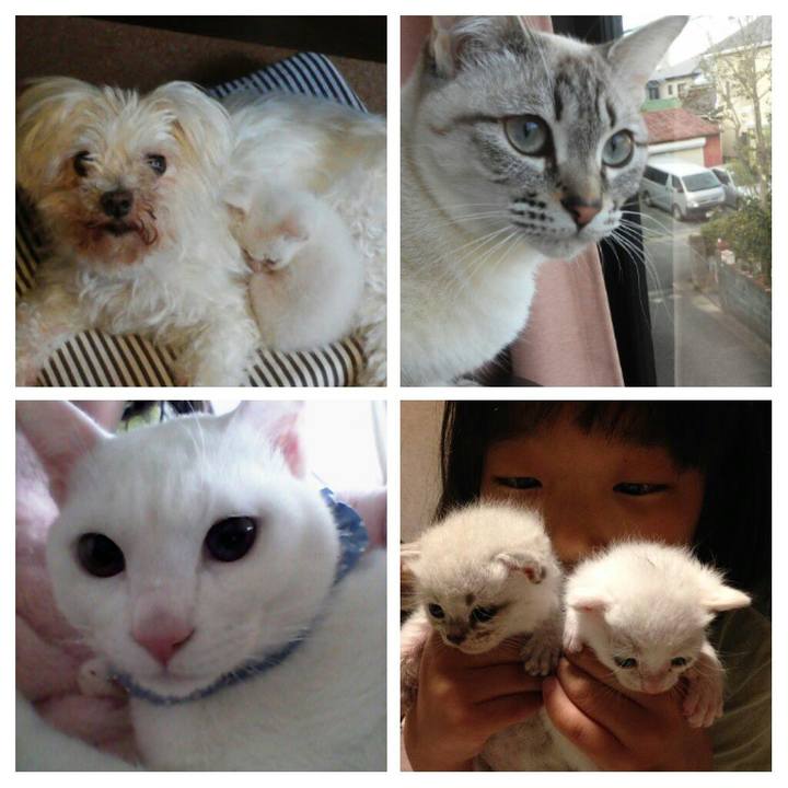 4cfda2ae 4aba 4b83 9b58 2f7b808389b9