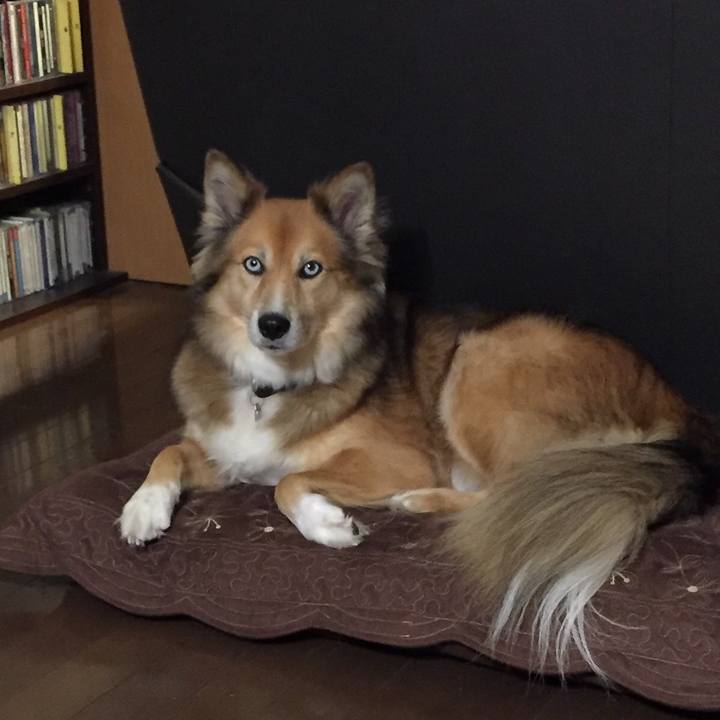 4cfddb4c 66c3 45d0 ba4e ad199602d290