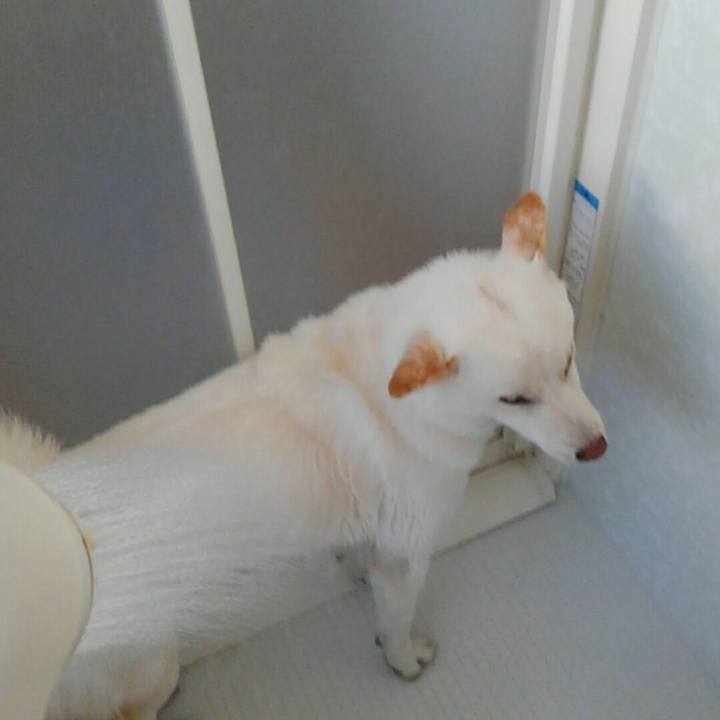 4cfde681 8915 4caa b921 6125d796e6df