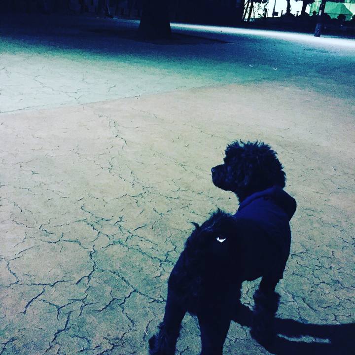 4cfdf867 c5b9 4804 b4af f5230f65b431