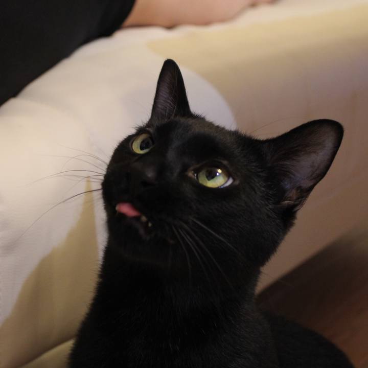 4cfe237b 9e1e 4ffc a1e6 fc28967d59c7