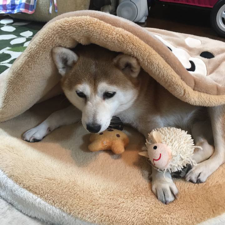 4cfea694 560c 4323 9e47 ae18bc4140b1