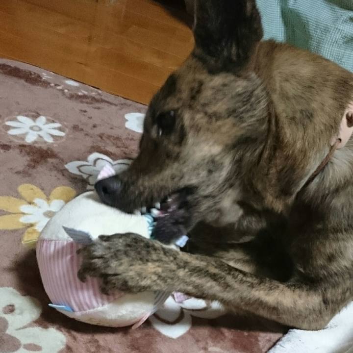 4d00d9eb 8d7a 4d82 b65d 690f2d3a829f