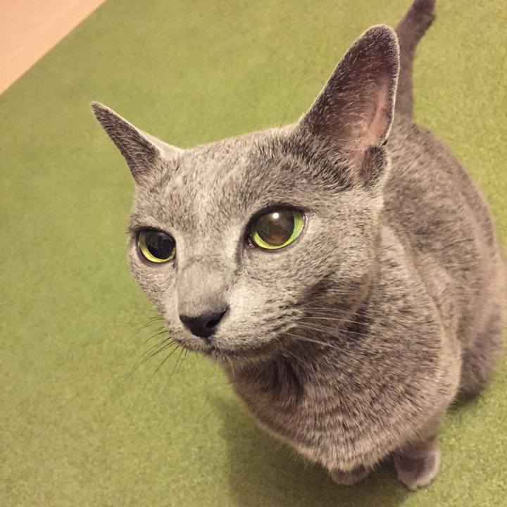 4d010bc8 dfba 4aa4 b1b4 768a4f1b593c