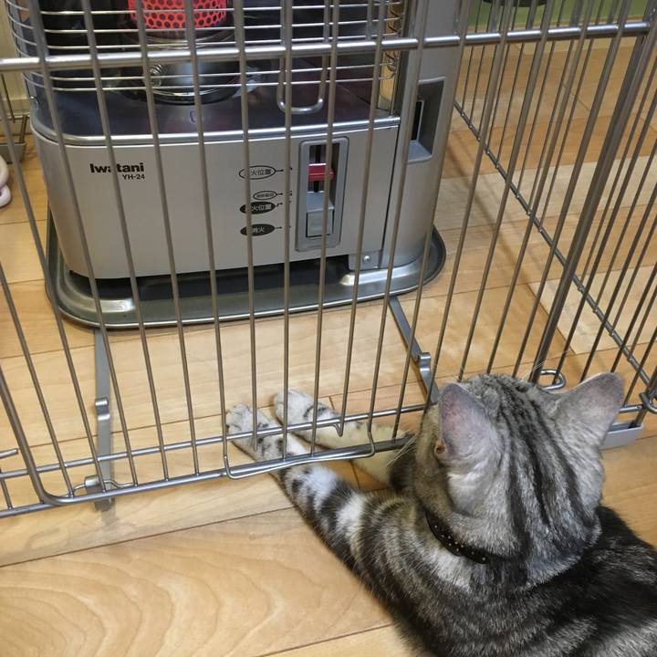 4d01af12 8c35 4486 a46d 33753160620a